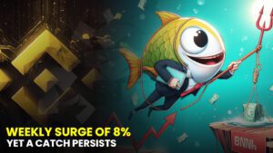Burgeoning BNB: Weekly Surge of 8%, Yet a Catch Persists