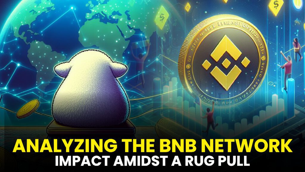 ANALYZING THE BNB NETWORK