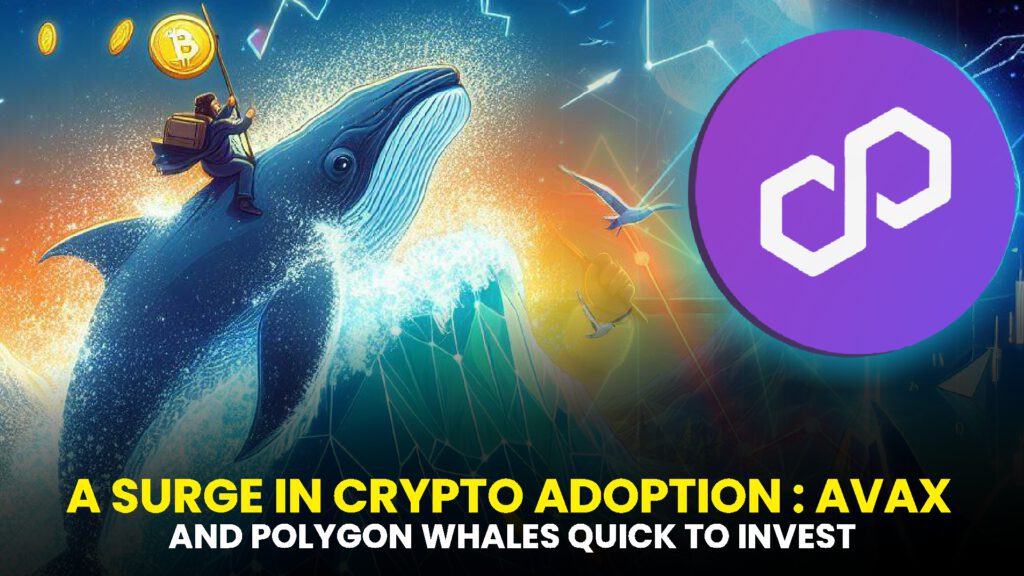 AND POLYGON WHALES QUICK TO INVEST