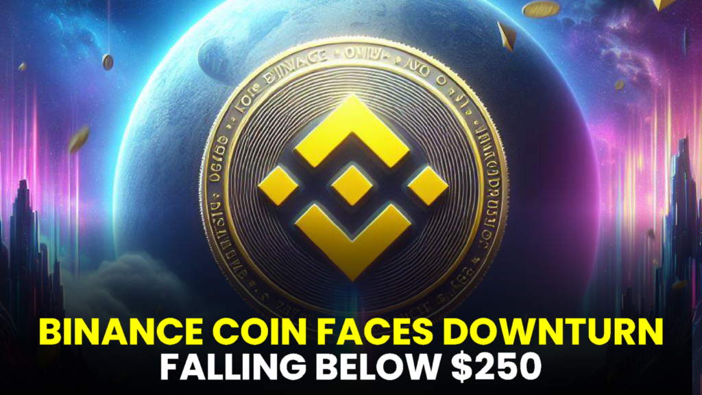 Binance Coin (BNB) Faces Downturn, Falling Below $250 – Exploring Potential Paths to Recovery