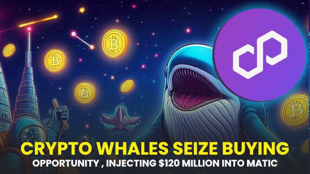 Crypto Whales Seize Buying Opportunity, Injecting $120 Million into MATIC During Market Dip