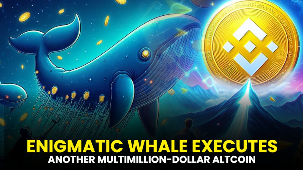 Enigmatic Whale Executes Another Multimillion-Dollar Altcoin Purchase on Binance – Dive into Its Latest Transaction