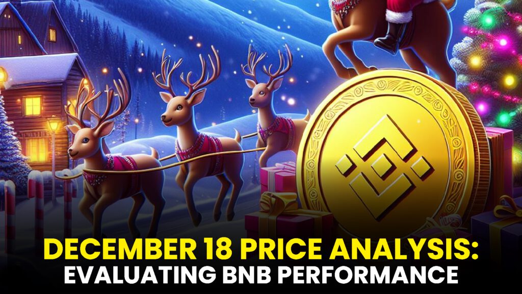 EVALUATING BNB PERFORMANCE