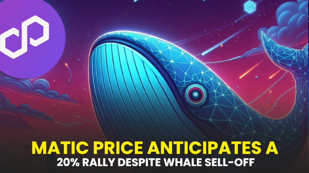 MATIC Price Anticipates a 20% Rally Despite Whale Sell-off on Polygon Network