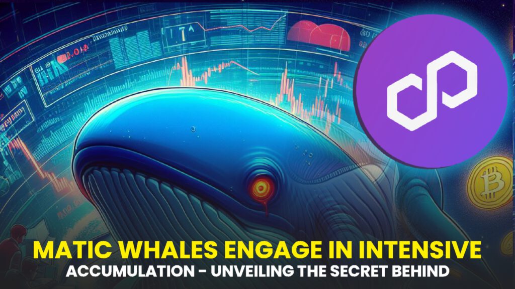 MATIC Whales Engage in Intensive Accumulation – Unveiling the Secrets Behind Their Moves