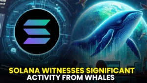 Solana (SOL) Witnesses Significant Activity from Whales: Potential Trend Reversal in the Cards?