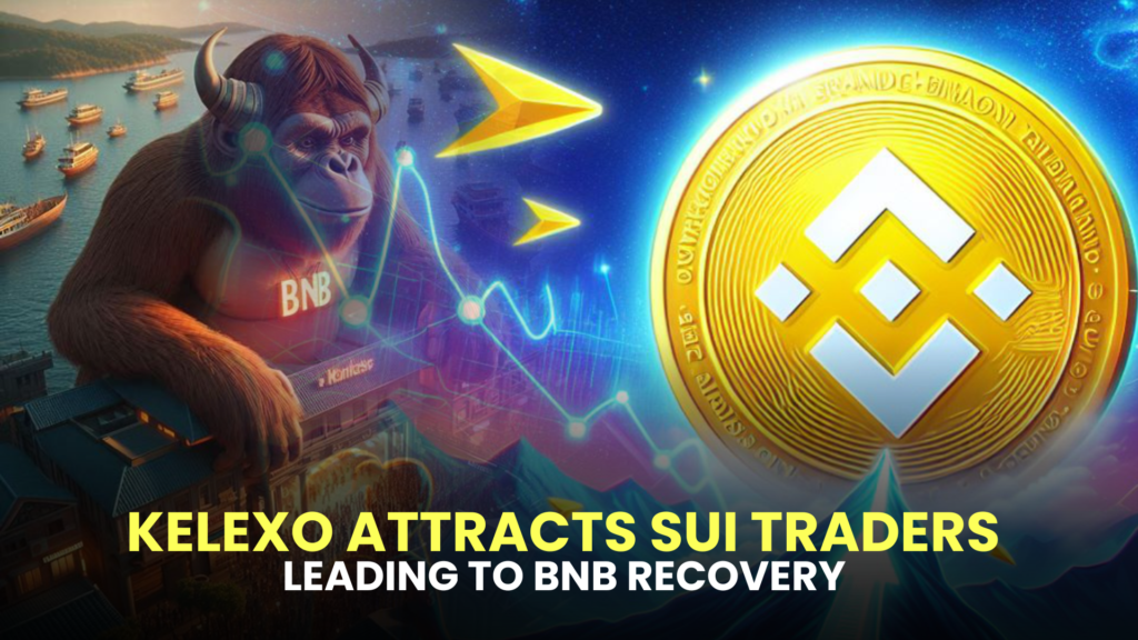 Kelexo Attracts Sui Traders, Leading to BNB Recovery