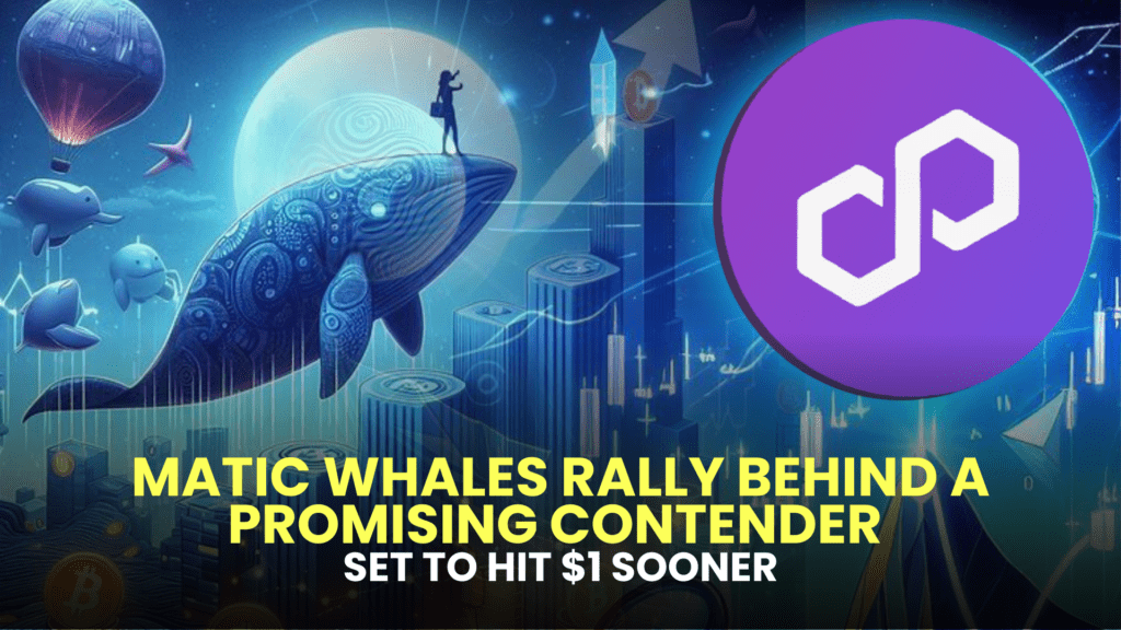 MATIC Whales Rally Behind a Promising Contender Set to Hit $1 Sooner