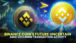 Binance Coin's Future Uncertain Amid Declining Transaction Activity