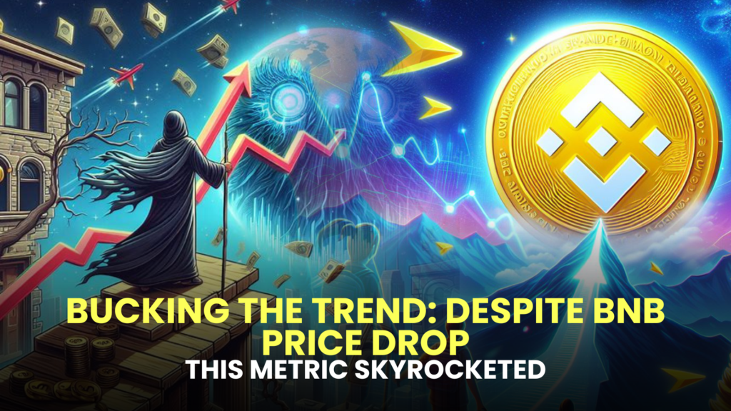 Bucking the Trend: Despite BNB Price Drop, This Metric Skyrocketed