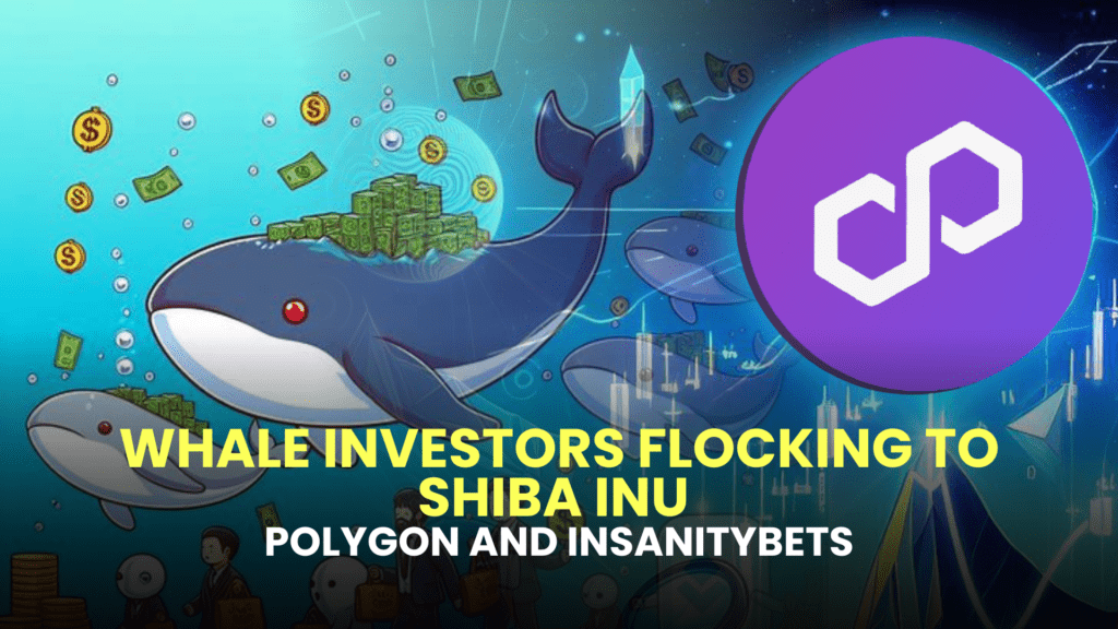 Whale Investors Flocking to Shiba Inu (SHIB), Polygon (MATIC), and InsanityBets (IBET)