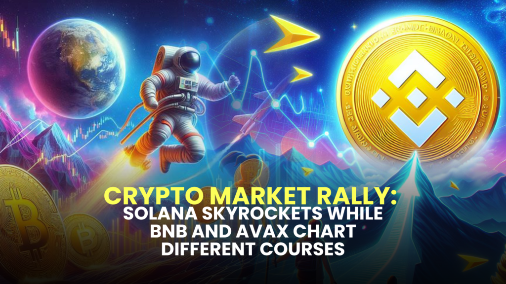 Crypto Market Rally: Solana Skyrockets While BNB and AVAX Chart Different Courses