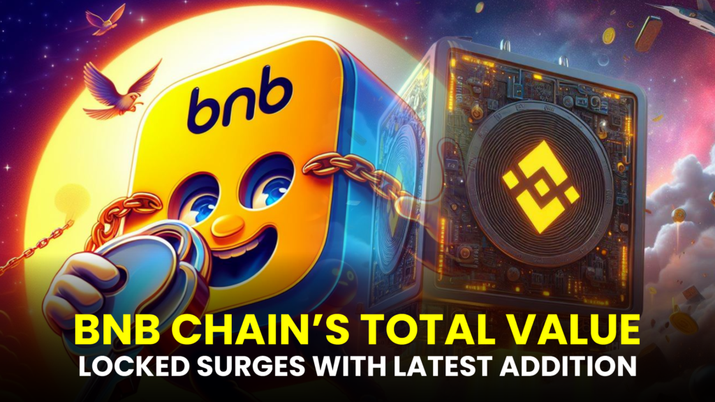 BNB CHAINS TOTAL VALUE