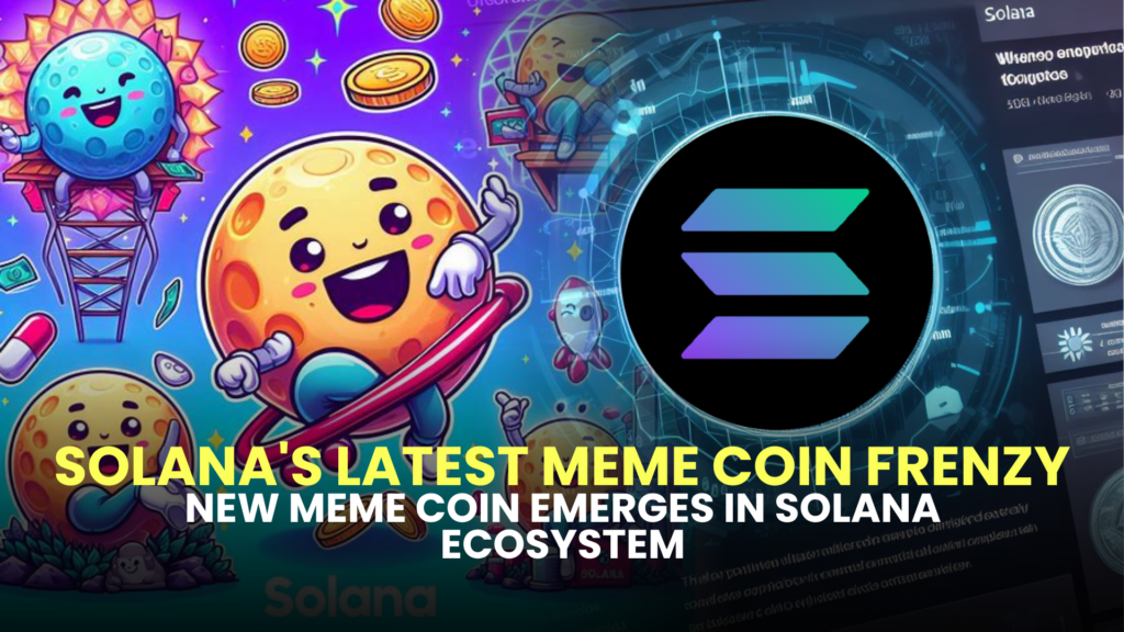 Solana's Latest Meme Coin Frenzy