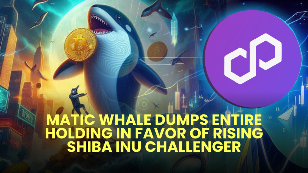 MATIC Whale Dumps Entire Holding in Favor of Rising Shiba Inu Challenger