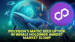 Polygon's MATIC Sees Uptick in Whale Holdings Amidst Market Slump