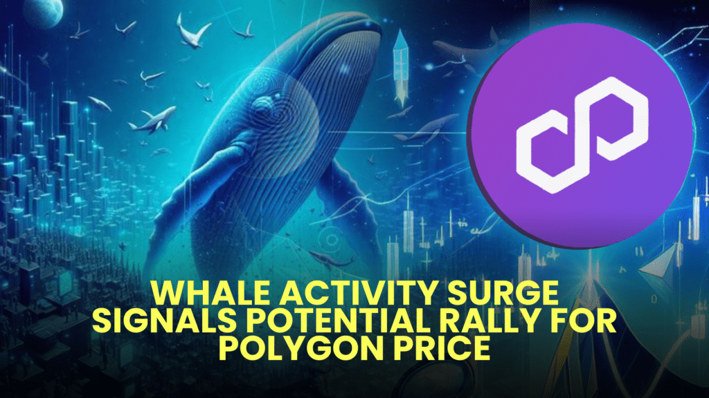 Whale Activity Surge Signals Potential Rally for Polygon (MATIC) Price