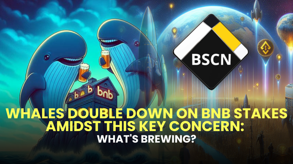 Whales Double Down on BNB Stakes Amidst This Key Concern: What's Brewing?