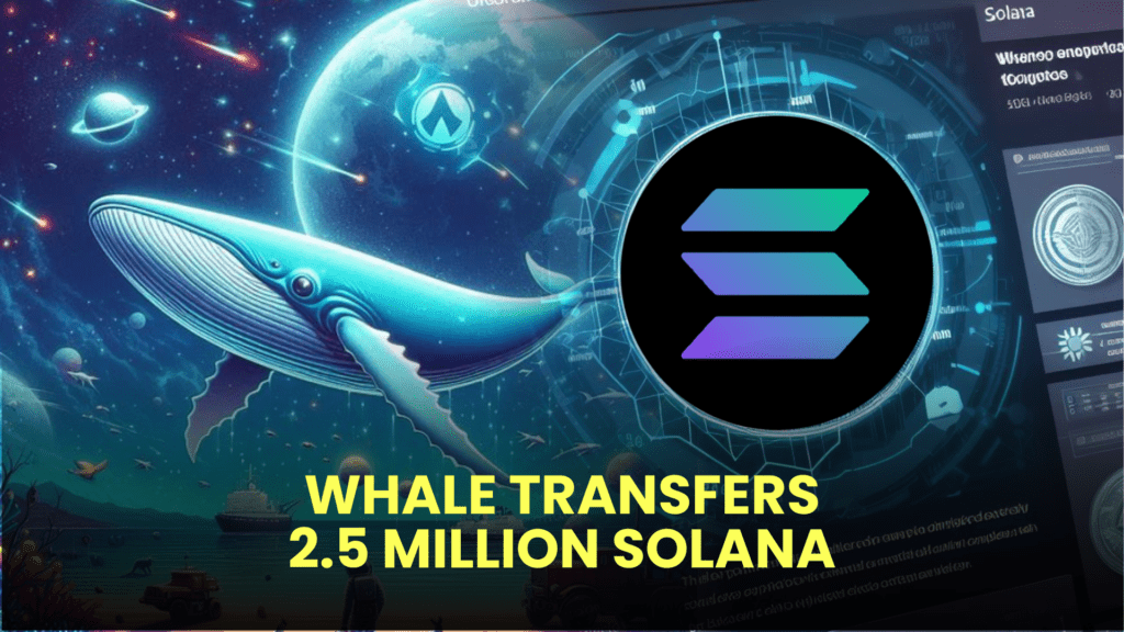 Whale Transfers 2.5 Million Solana