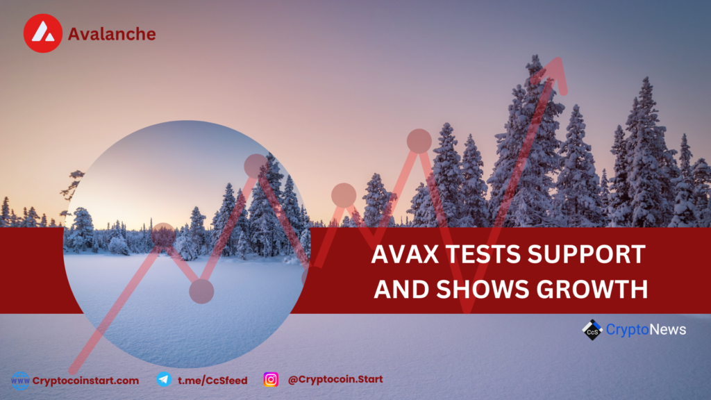 AVAX Tests Support and Shows Growth