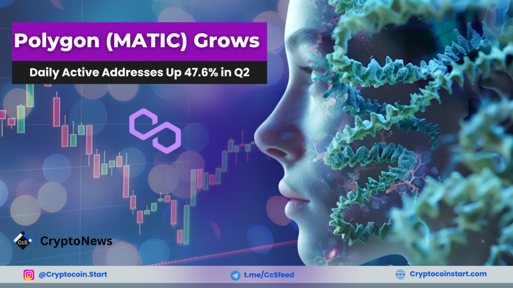 Polygon (MATIC) Grows: Daily Active Addresses Up 47.6% in Q2