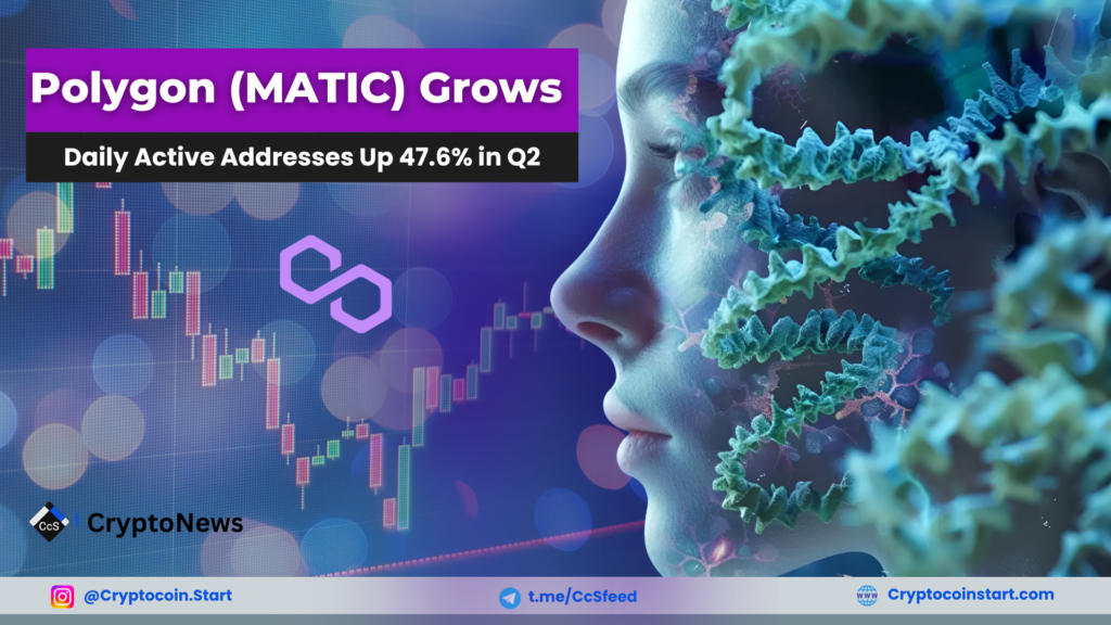 Polygon (MATIC) Grows: Daily Active Addresses Up 47.6% in Q2 2 Cryptocoinstart.com 2