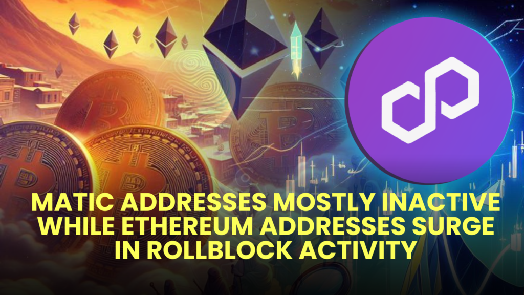 MATIC Addresses Mostly Inactive While Ethereum Addresses Surge in Rollblock (RBLK) Activity