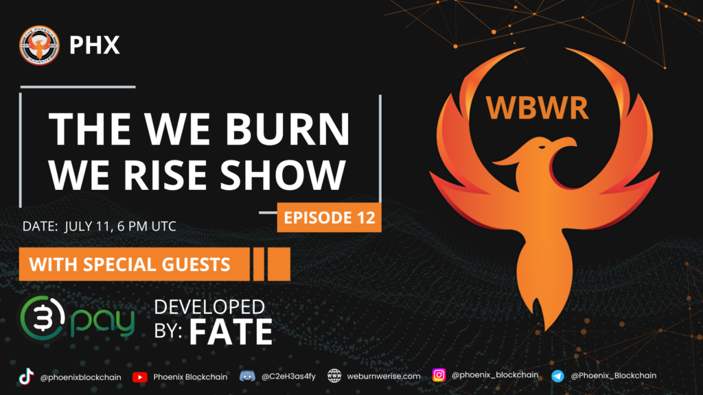 We Burn We Rise - Episode 12: Insightful Conversations with Industry Leaders