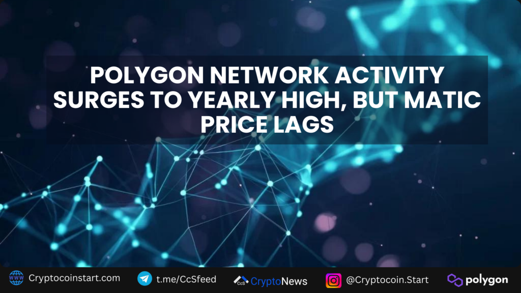 Polygon Network Activity Surges to Yearly High But MATIC Price Lags