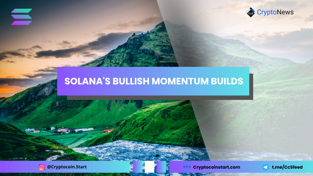 Solana's Bullish Momentum Builds