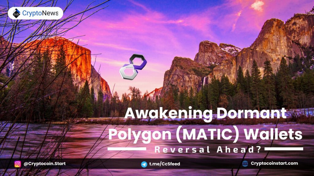 Awakening Dormant Polygon (MATIC) Wallets: Reversal Ahead?