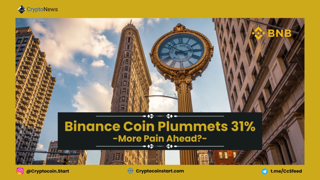 Binance Coin Plummets 31%: More Pain Ahead?