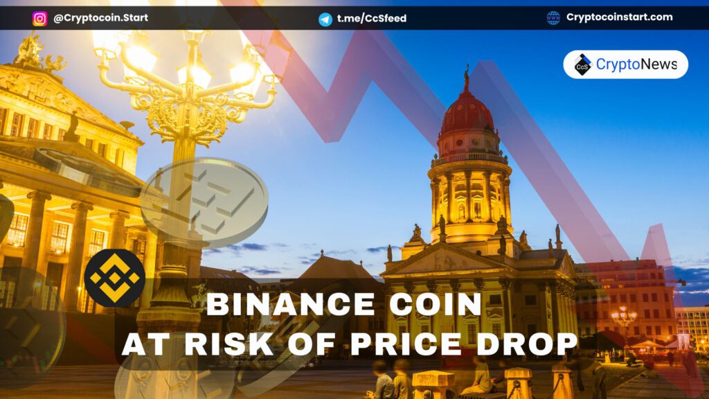 Binance Coin at Risk of Price Drop