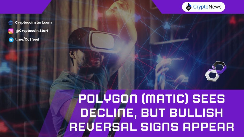 Polygon (MATIC) Sees Decline, but Bullish Reversal Signs Appear