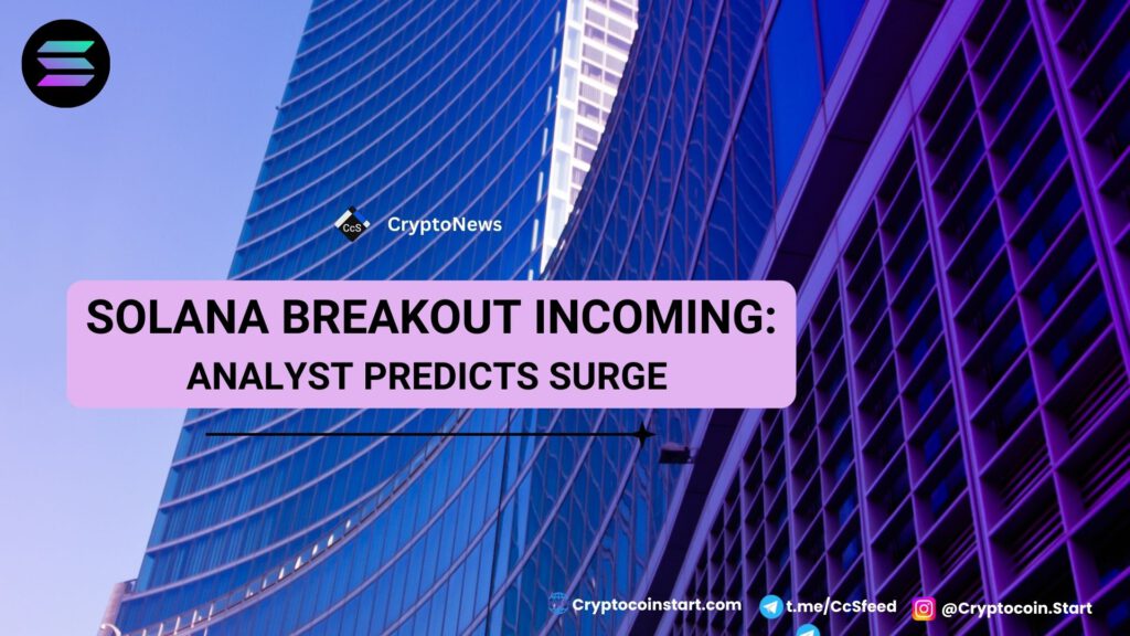 Solana Breakout Incoming: Analyst Predicts Surge