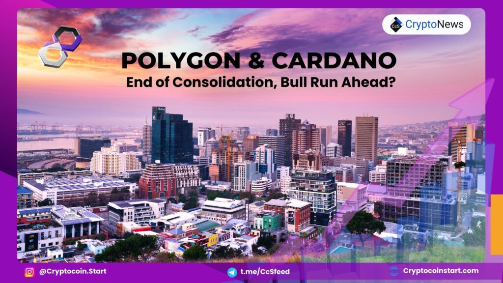 Polygon & Cardano: End of Consolidation, Bull Run Ahead?