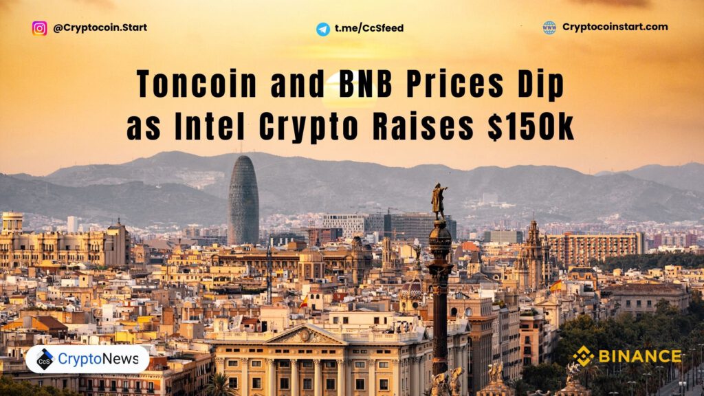 Toncoin and BNB Prices Dip as Intel Crypto Raises $150k