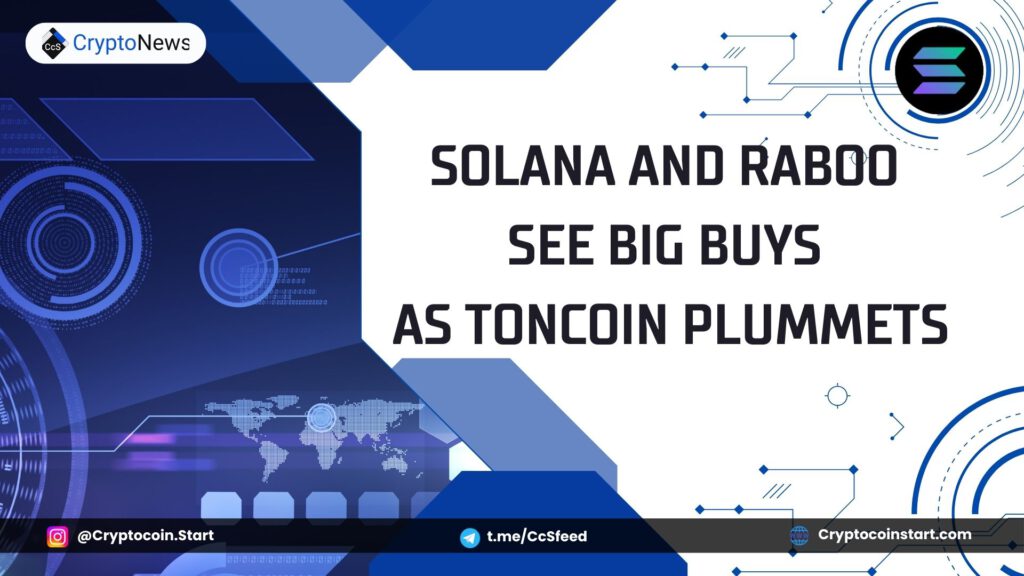 Solana and Raboo See Big Buys as Toncoin Plummets