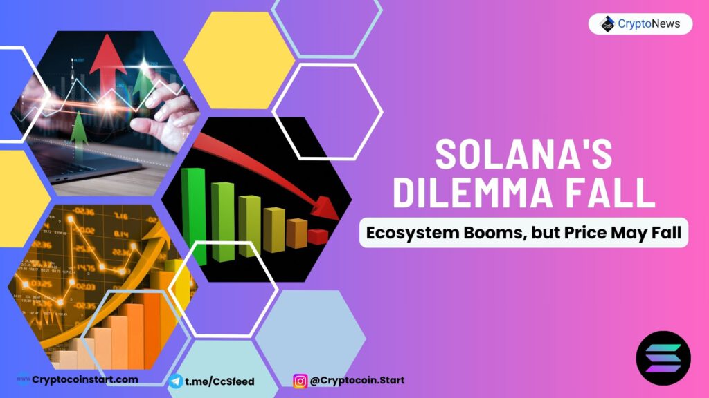 Solana's Dilemma: Ecosystem Booms, but Price May Fall