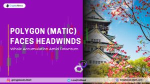 Polygon (MATIC) Faces Headwinds: Whale Accumulation Amid Downturn