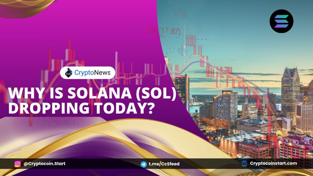 Why Is Solana (SOL) Dropping Today?