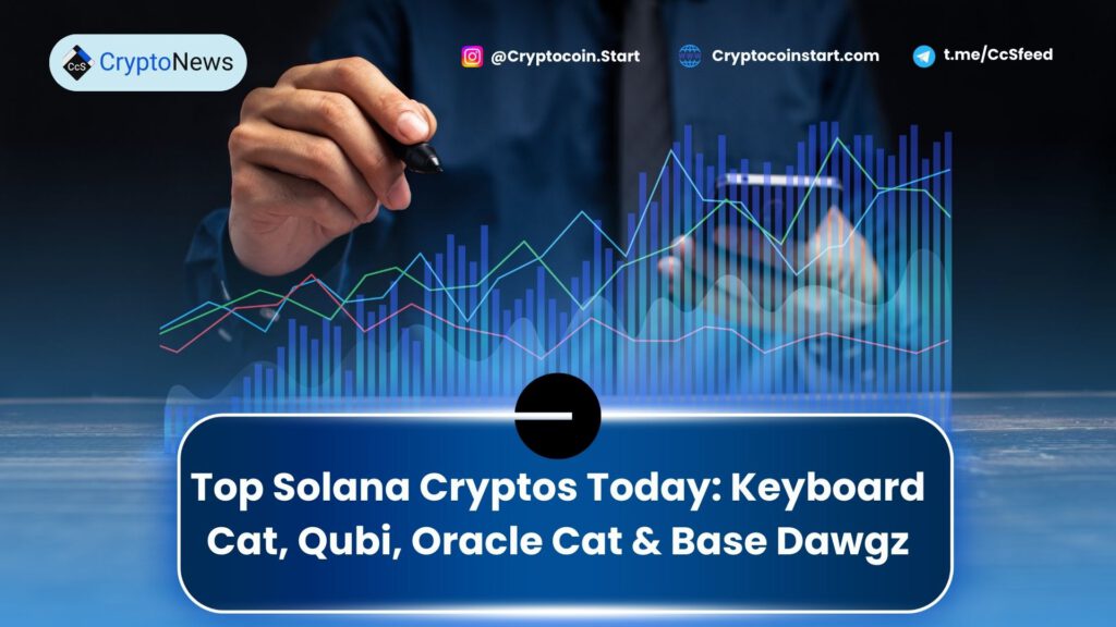 Top Solana Cryptos Today: Keyboard Cat, Qubi, Oracle Cat & Base Dawgz