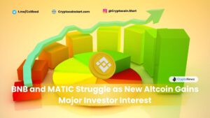 BNB and MATIC Struggle as New Altcoin Gains Major Investor Interest