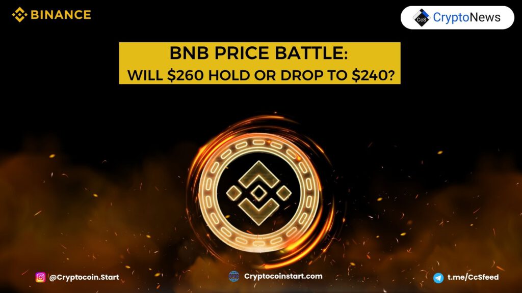 BNB Price Battle: Will $260 Hold or Drop to $240?