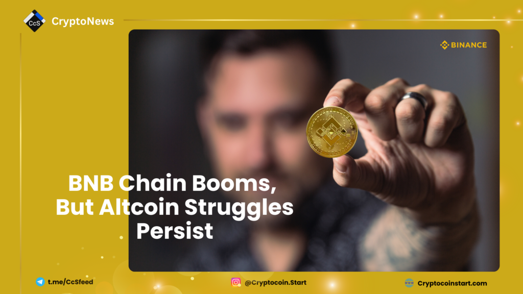 BNB Chain Booms, But Altcoin Struggles Persist