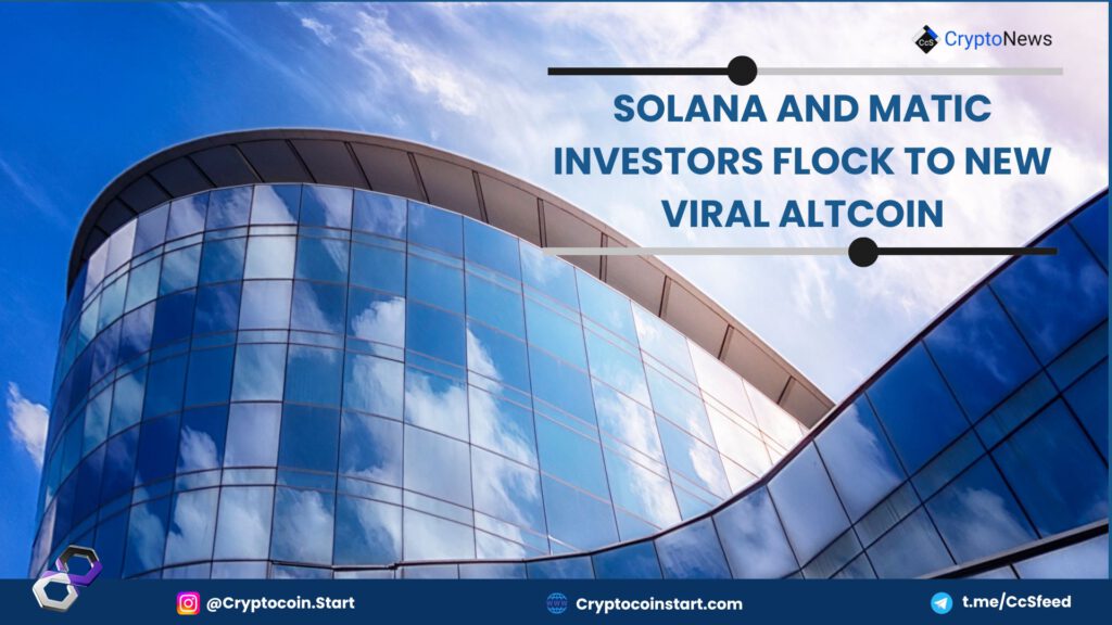 Solana and MATIC Investors Flock to New Viral Altcoin