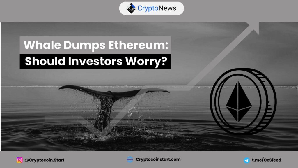 Whale Dumps Ethereum: Should Investors Worry?