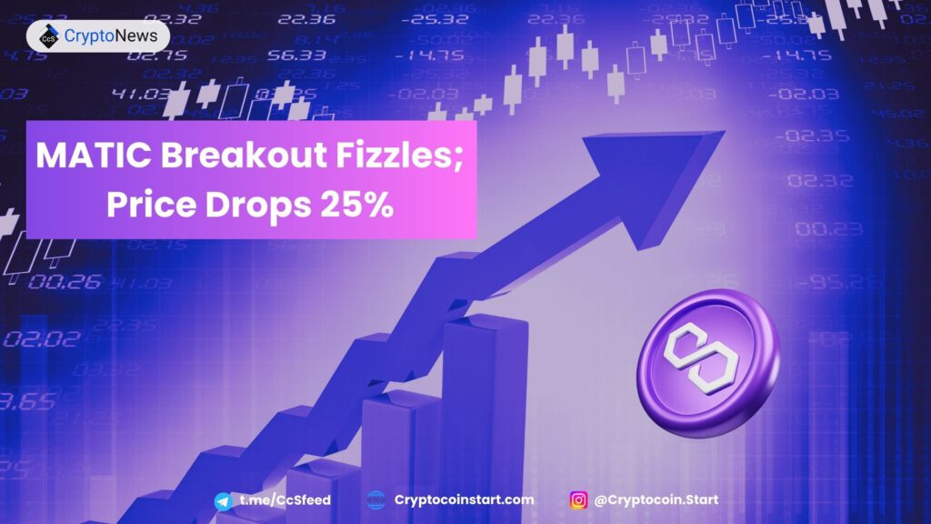 MATIC Breakout Fizzles; Price Drops 25%