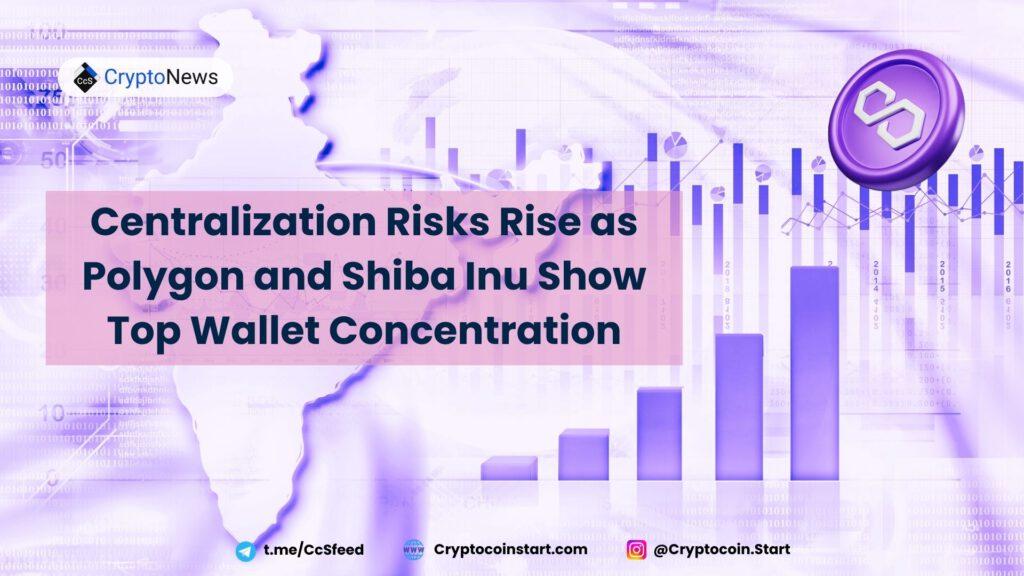 Centralization Risks Rise as Polygon and Shiba Inu Show Top Wallet Concentration