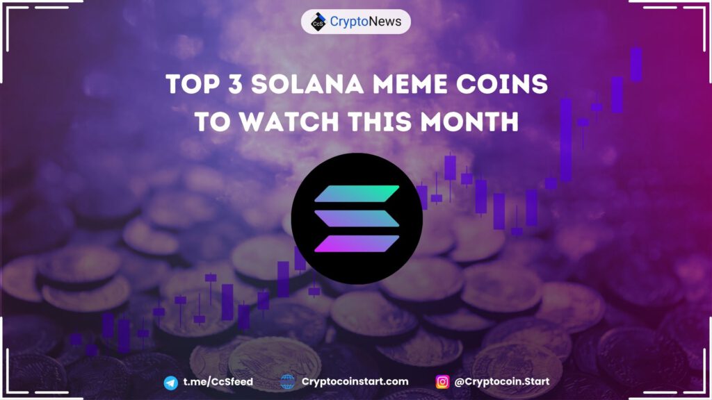 Top 3 Solana Meme Coins to Watch This Month